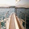 Daily boat rental (2)